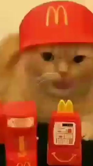 TikTok video thumbnail by kucingnyimut