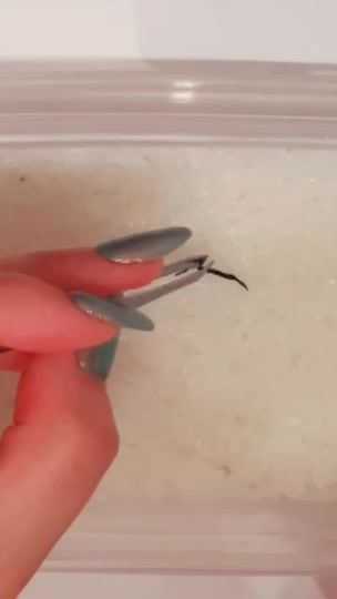 TikTok video thumbnail by norigiri58