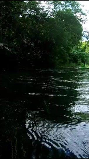 TikTok video thumbnail by pigzaza2