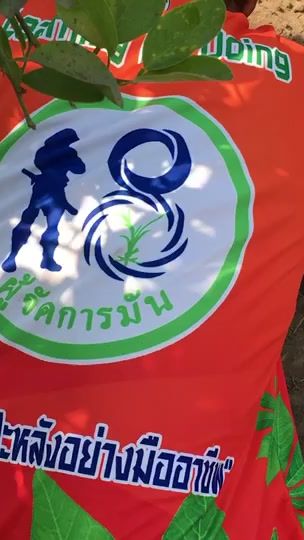 TikTok video thumbnail by aphidach_