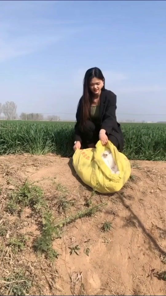 TikTok video thumbnail by chitho007