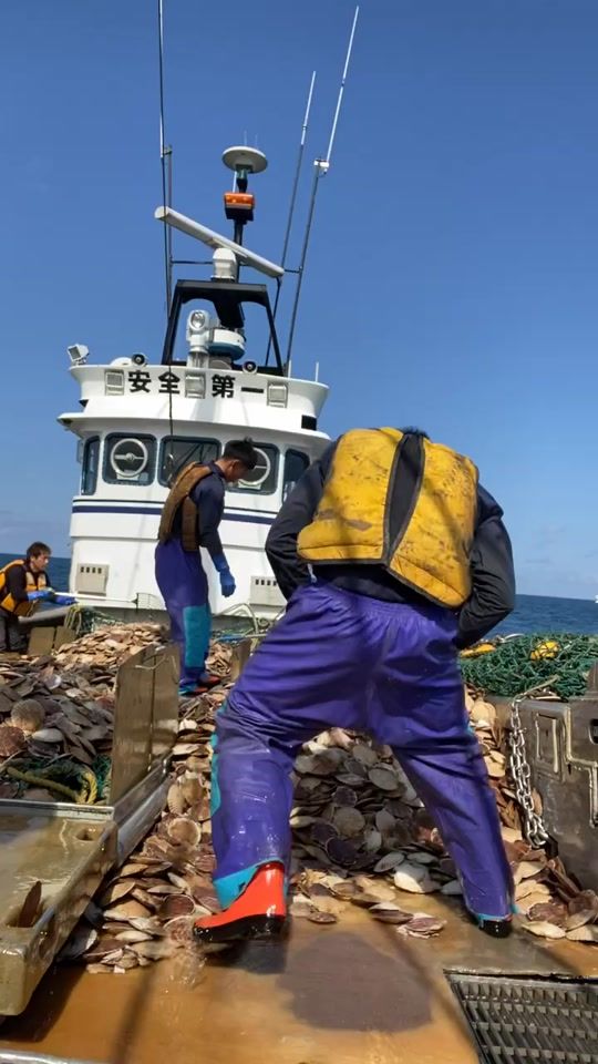 TikTok video thumbnail by masaya.84