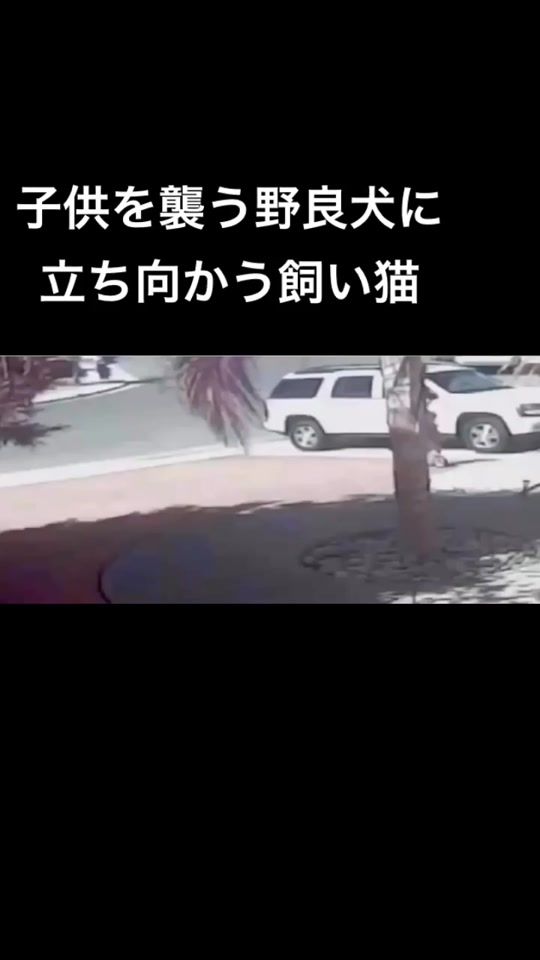 TikTok video thumbnail by dngr27.523