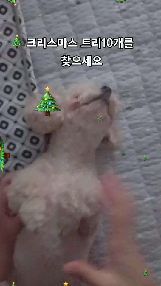 TikTok video thumbnail by kimseohyun112