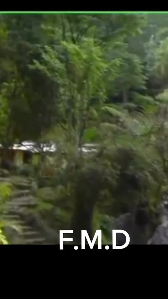 TikTok video thumbnail by 4m3lr3zha