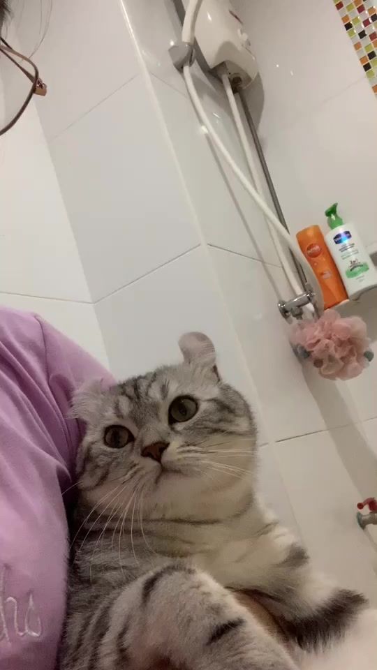 TikTok video thumbnail by callmemangoooooo