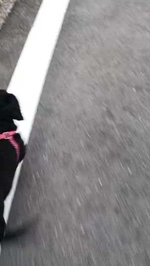 TikTok video thumbnail by akari.23a