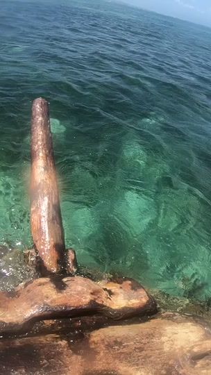 TikTok video thumbnail by takosuken