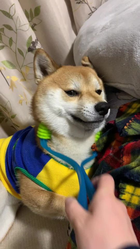 TikTok video thumbnail by kyuta0909