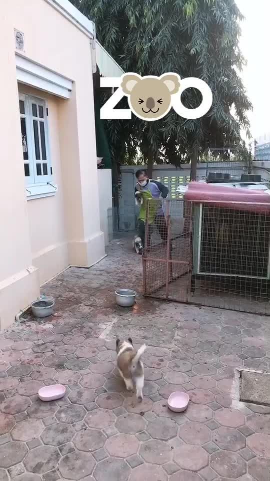 TikTok video thumbnail by hojun_ayutthaya