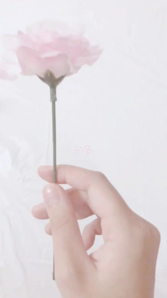 TikTok video thumbnail by amane0519