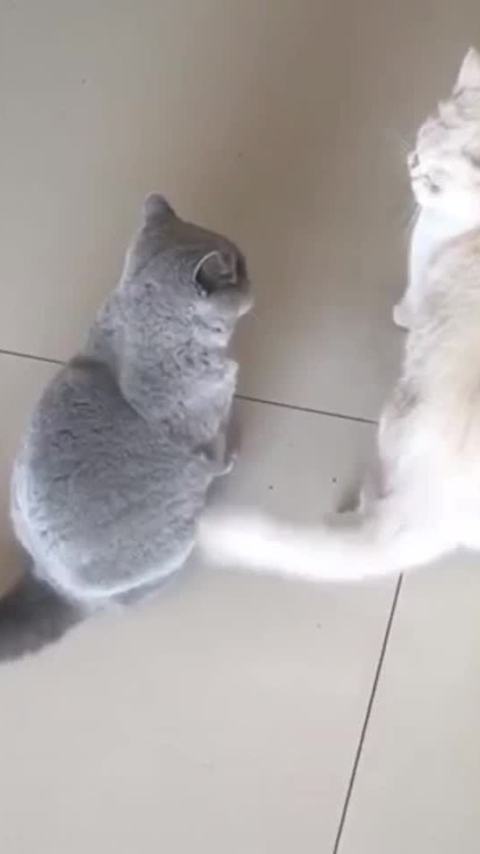 TikTok video thumbnail by hanamama007
