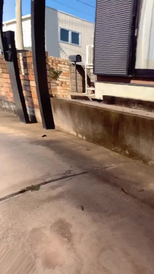 TikTok video thumbnail by ryootoo33