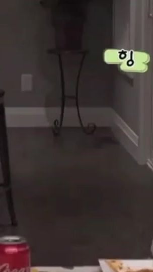 TikTok video thumbnail by jdhddbbsh