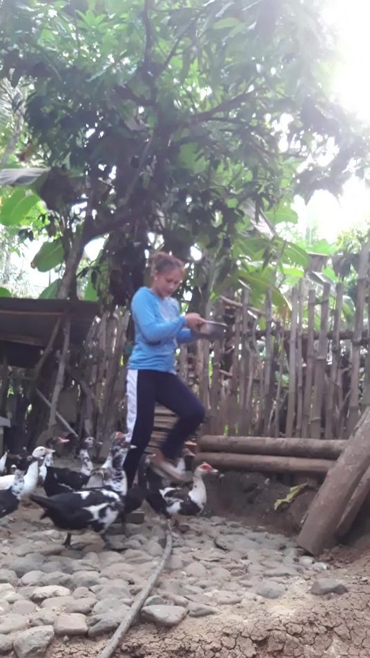 TikTok video thumbnail by janicenicx