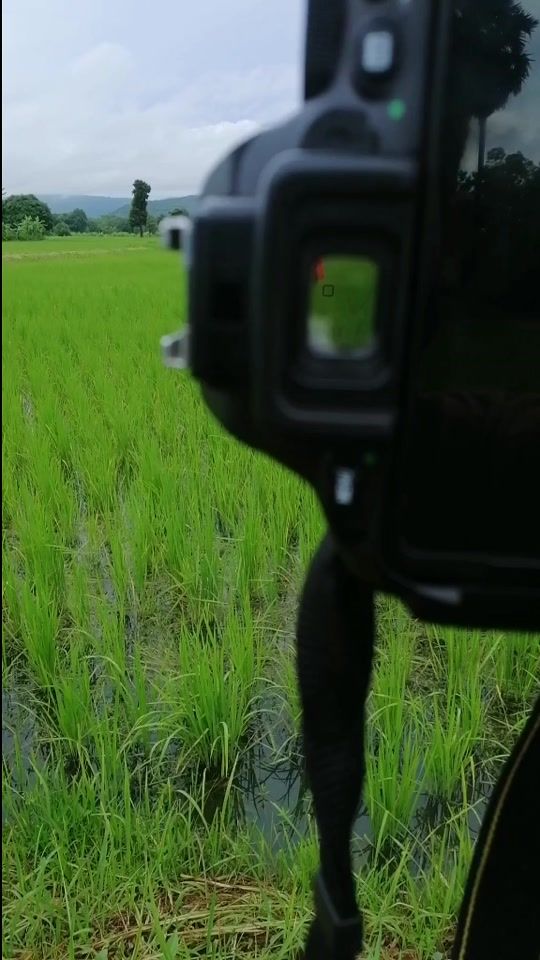 TikTok video thumbnail by t_little_p