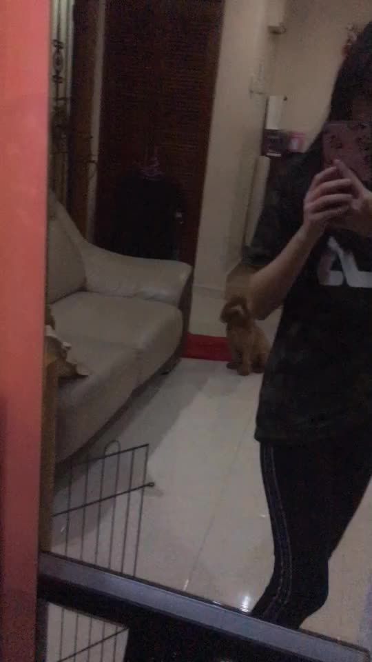 TikTok video thumbnail by xiaolei_0530