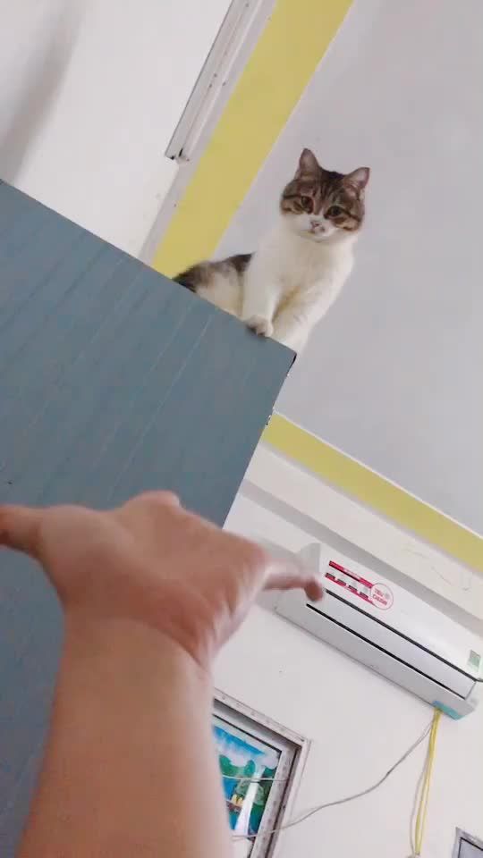 TikTok video thumbnail by huongtran952