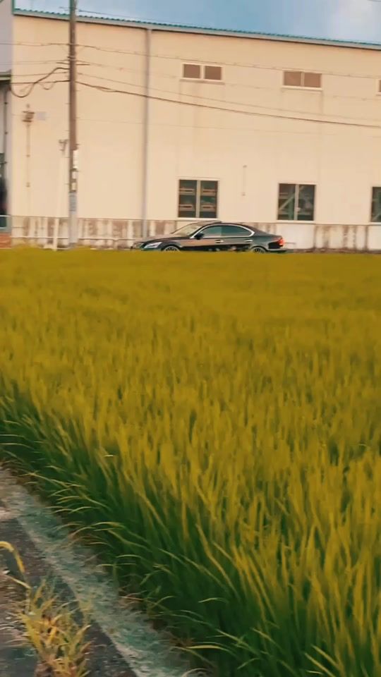 TikTok video thumbnail by wdsy34