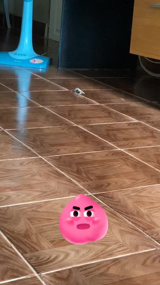 TikTok video thumbnail by patcha_jp_jj