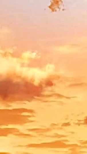 TikTok video thumbnail by wasabi_114
