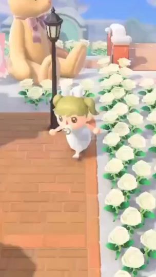 TikTok video thumbnail by sakibon69