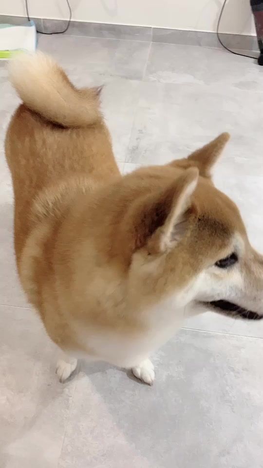 TikTok video thumbnail by 888858abc
