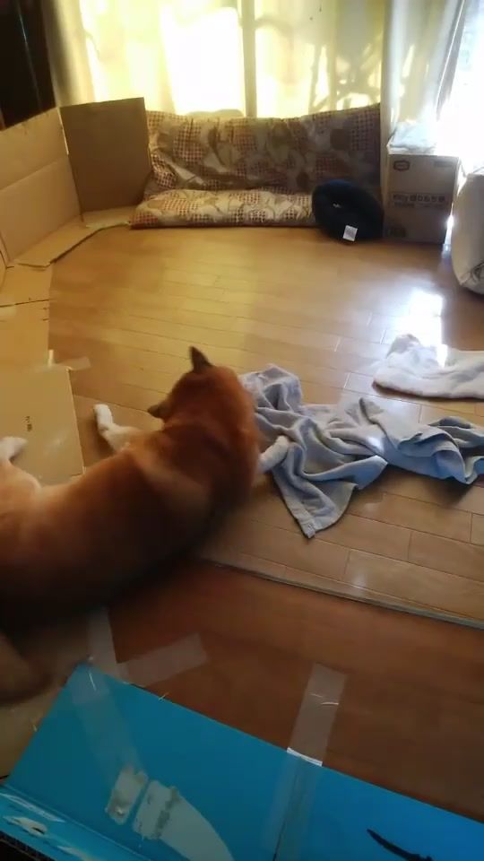 TikTok video thumbnail by user1850757029878