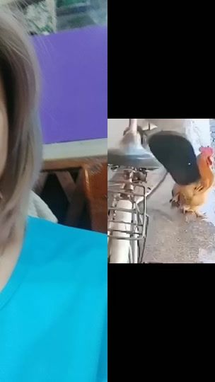 TikTok video thumbnail by phoopwint909