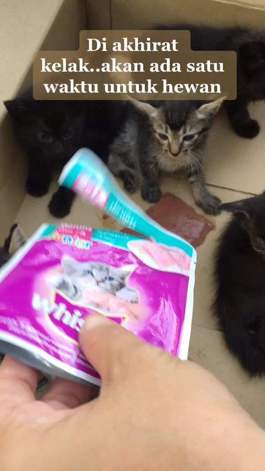 TikTok video thumbnail by irmadonaa