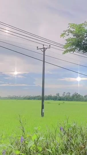TikTok video thumbnail by evelynnguyensg