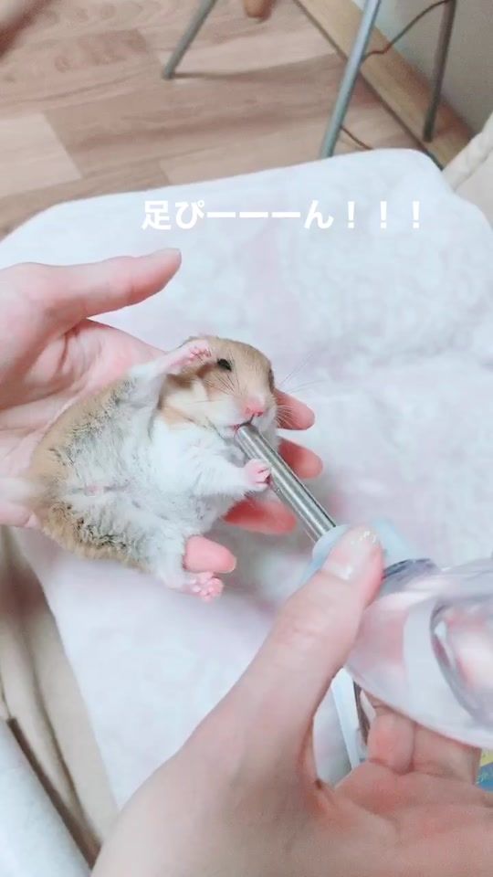 TikTok video thumbnail by kagetu_s2