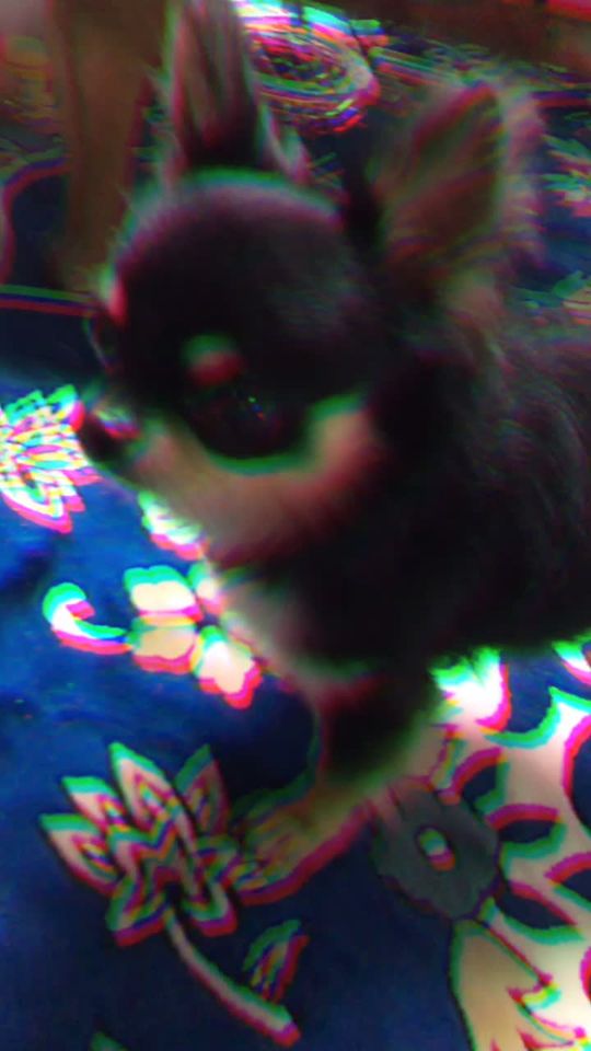 TikTok video thumbnail by rinrin....d29