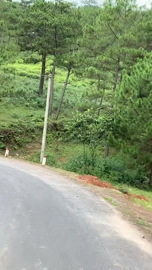TikTok video thumbnail by __qugkhh