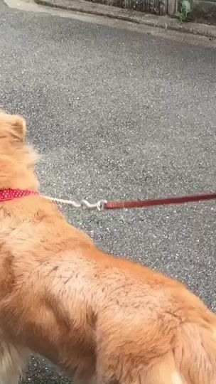 TikTok video thumbnail by yuya4four