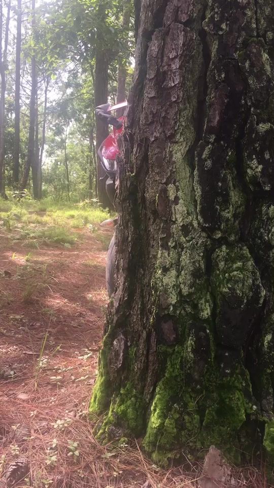 TikTok video thumbnail by susansansa2