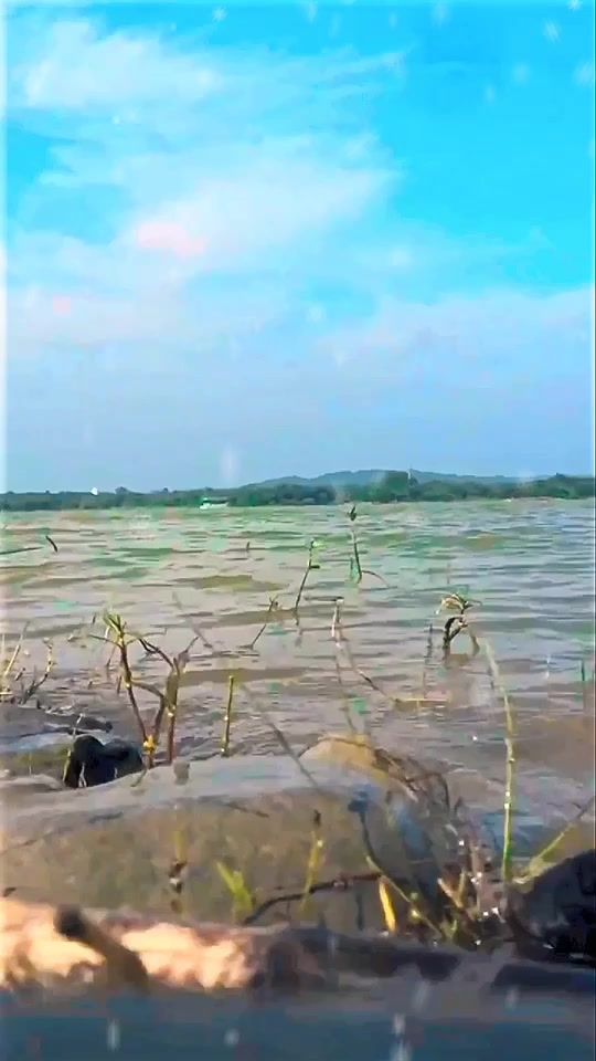 TikTok video thumbnail by shayran_v00
