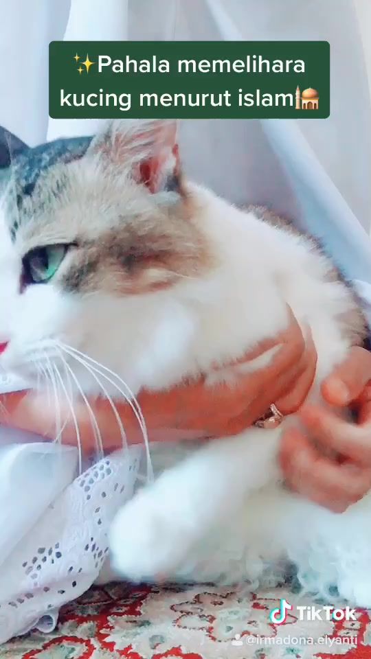 TikTok video thumbnail by irmadonaa