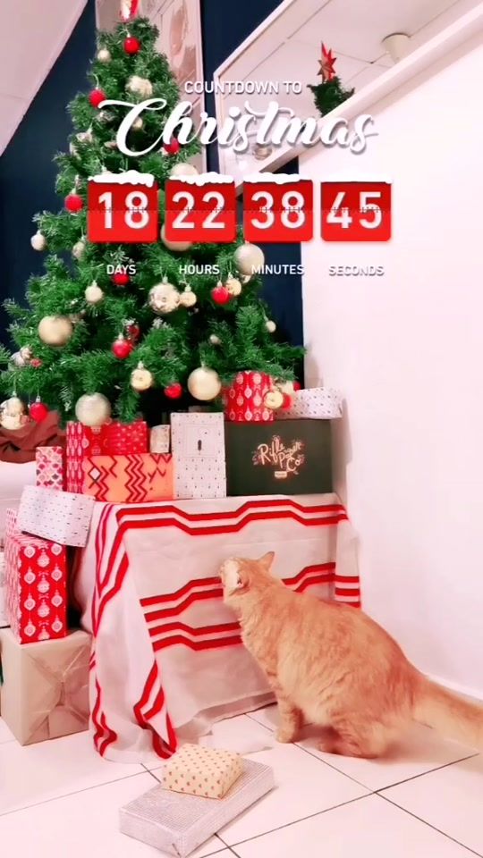 TikTok video thumbnail by thealsrescuedcat