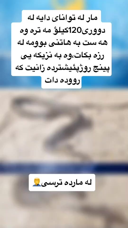 TikTok video thumbnail by jihoharki