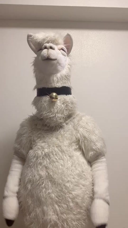 TikTok video thumbnail by inssa_rama