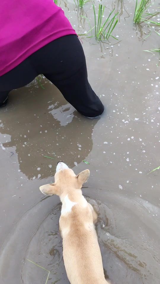 TikTok video thumbnail by chaimongkolduangwongsa