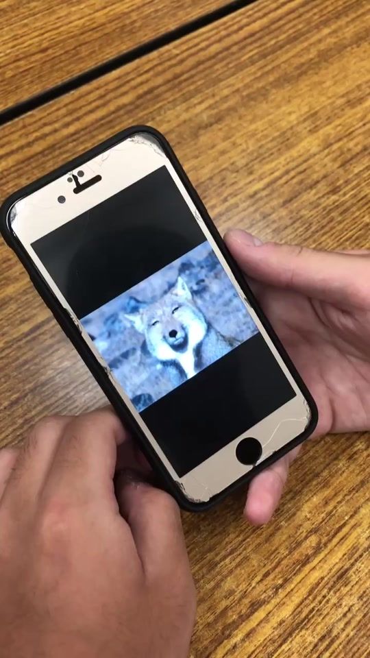 TikTok video thumbnail by qp.jancy