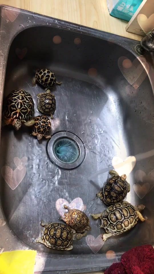 TikTok video thumbnail by es8010206