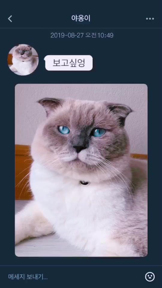 TikTok video thumbnail by cielmeowmun