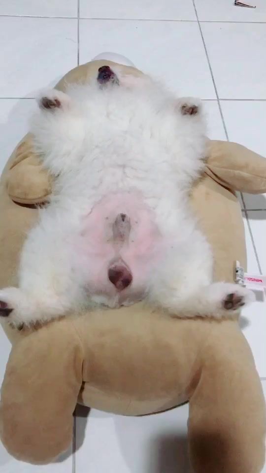 TikTok video thumbnail by i.khawoat
