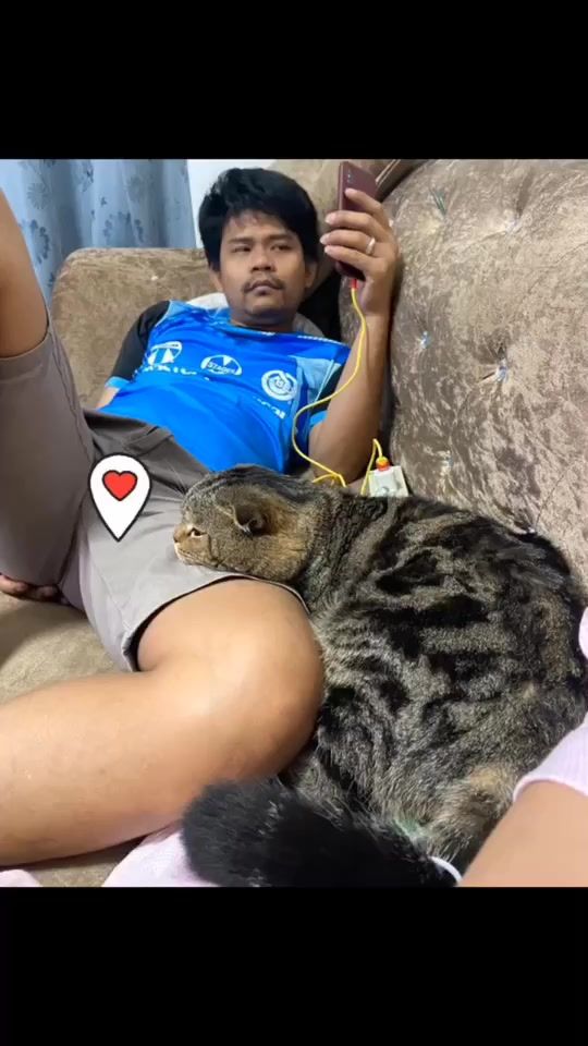 TikTok video thumbnail by nasrin_555