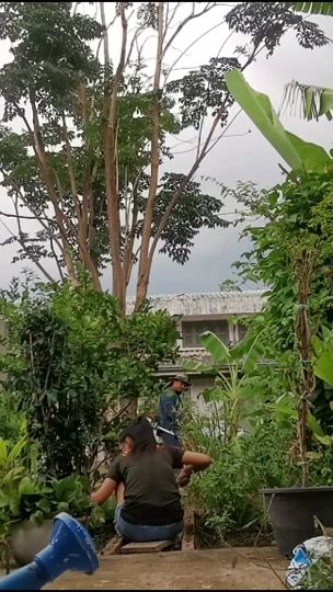 TikTok video thumbnail by rattiya_joy11