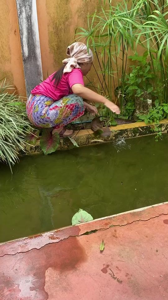 TikTok video thumbnail by araya301