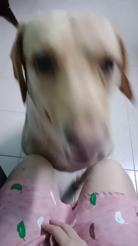 TikTok video thumbnail by alilionguyen273